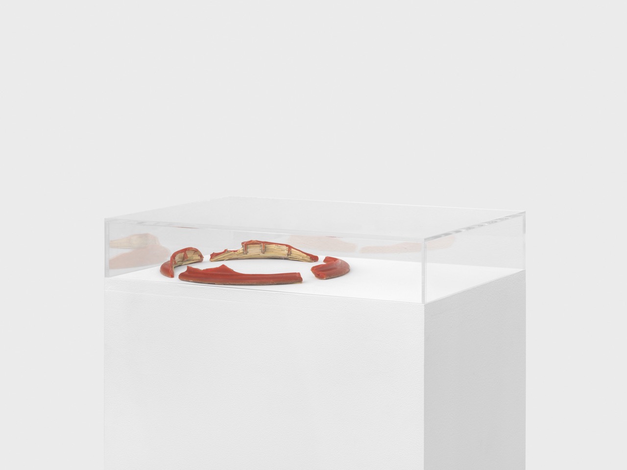 Work detail from Aisha Altenhofen, The Exact Opposite of Precision, Joseph Cuts, Basel